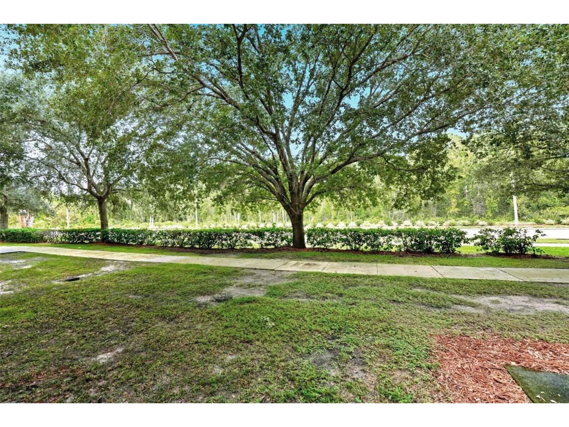 3176 Feltrim Place #102 Kissimmee FL 34747 O6351121 image25