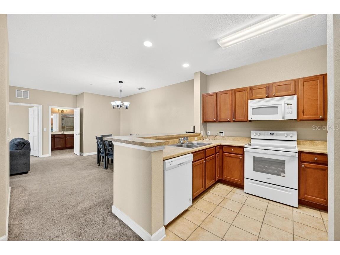 3176 Feltrim Place #401 Kissimmee FL 34747 O6359326 image5