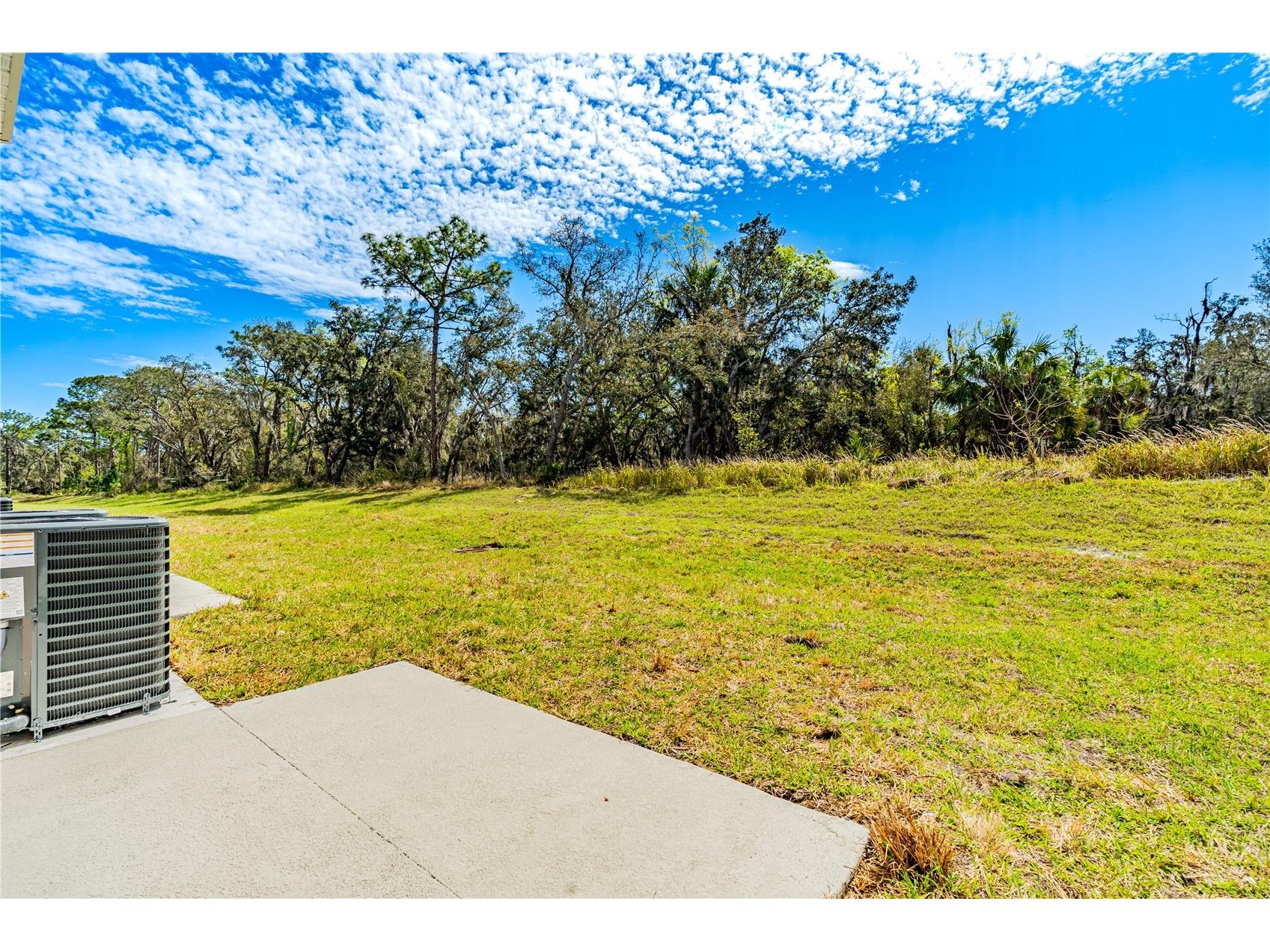 3176 Goose Road Davenport FL 33837 O6418039 image9