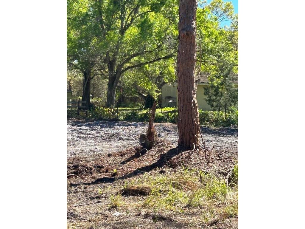 3176 NW 74th Terrace Okeechobee FL 34972 O6264446 image6