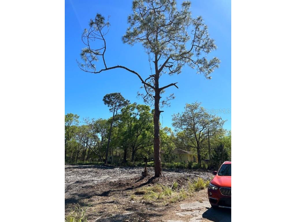 3176 NW 74th Terrace Okeechobee FL 34972 O6264446 image7