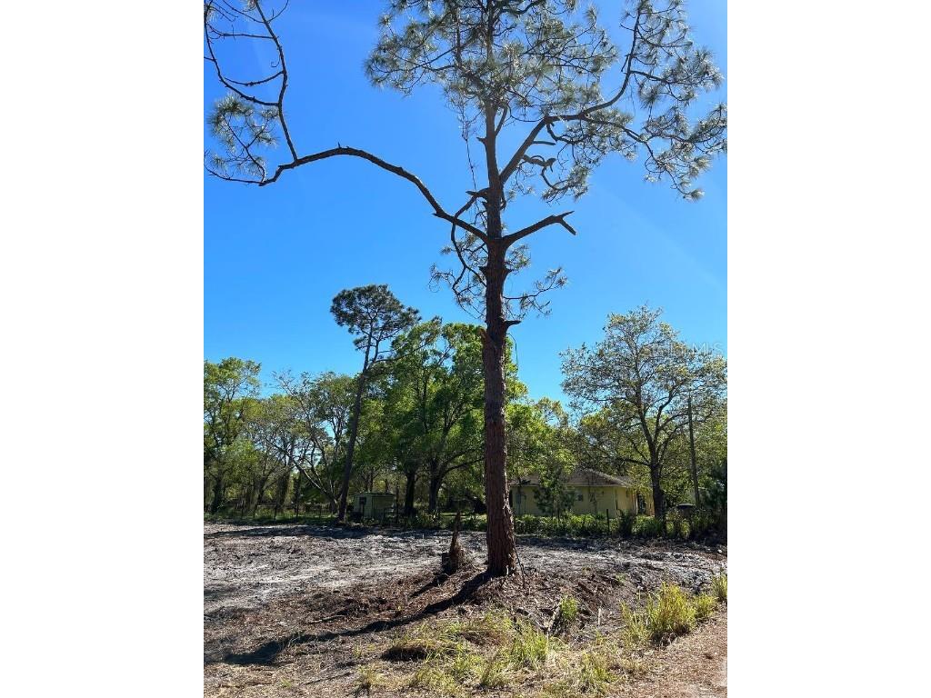 3176 NW 74th Terrace Okeechobee FL 34972 O6264446 image8