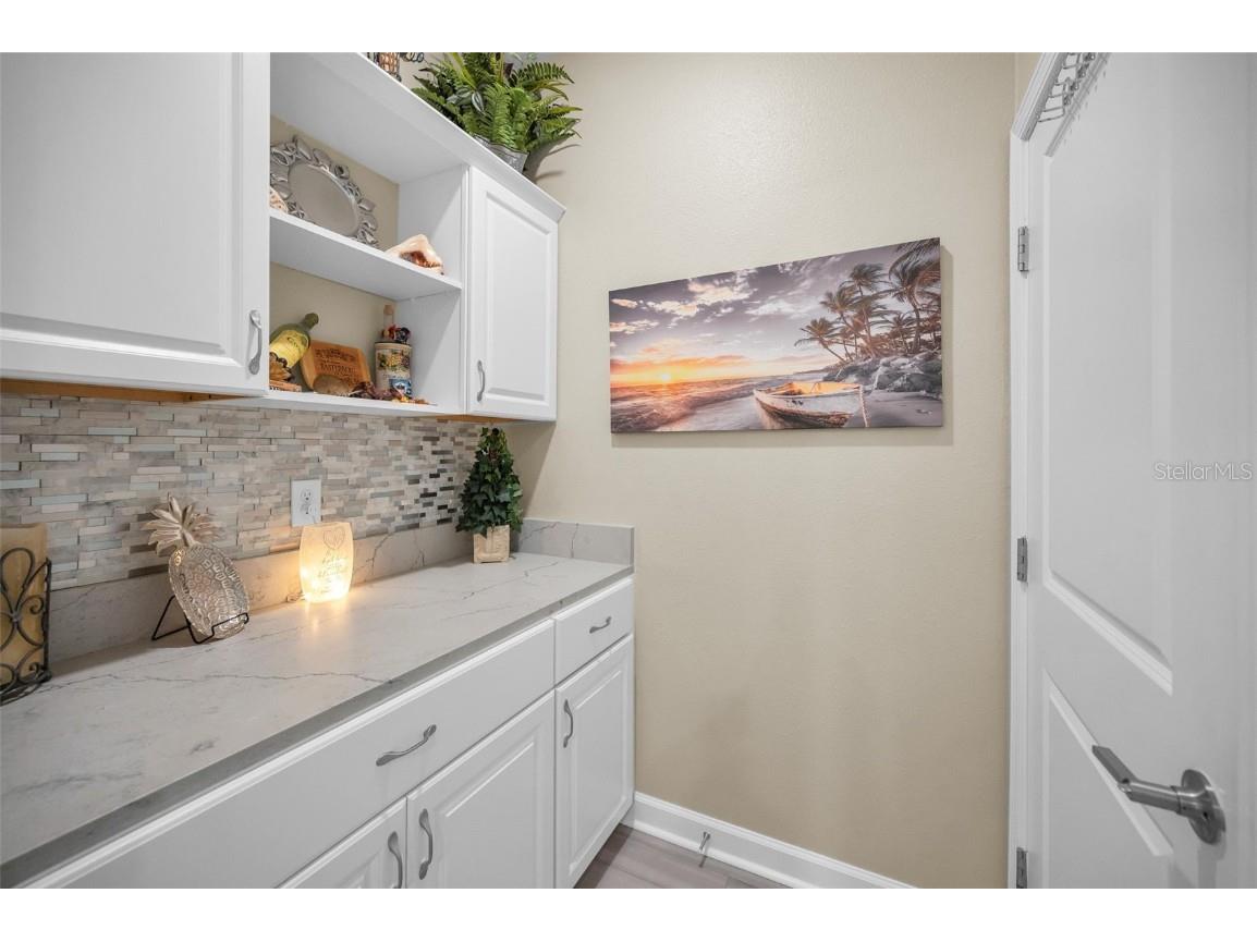 31763 Cabana Rye Avenue San Antonio FL 33576 TB8448703 image24