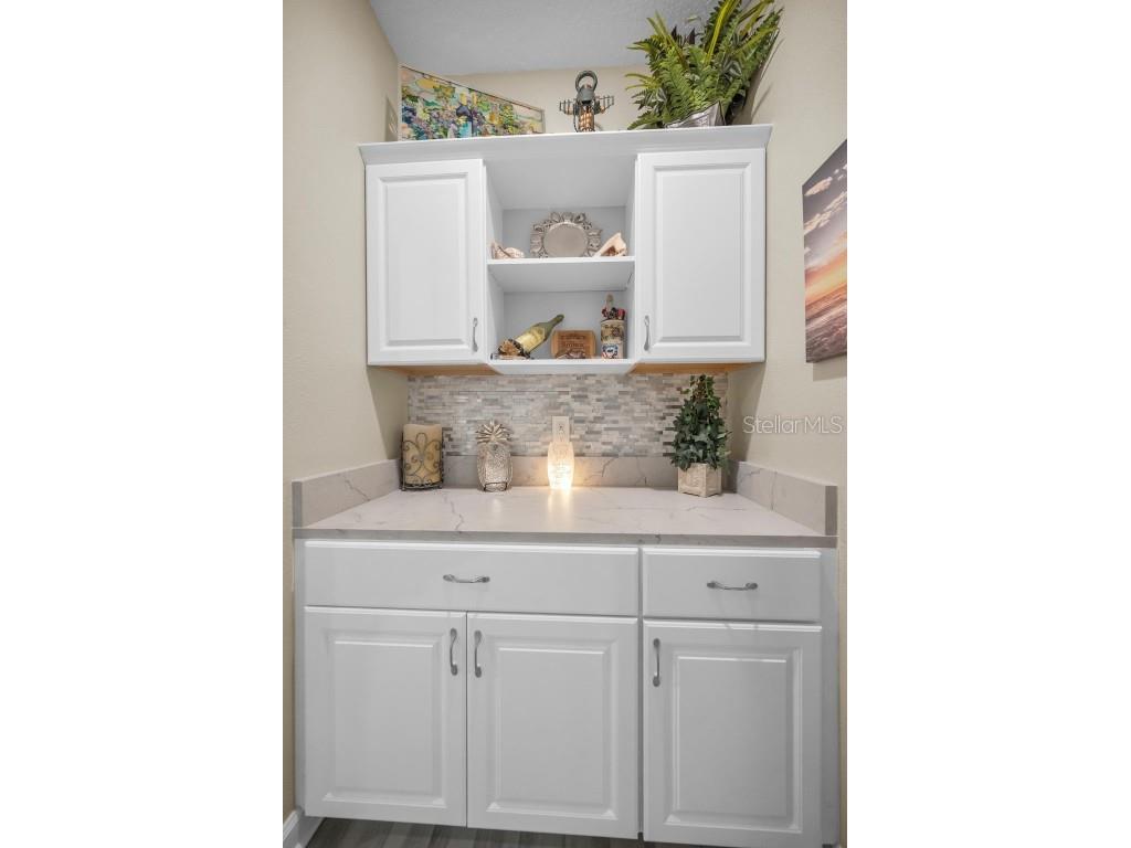 31763 Cabana Rye Avenue San Antonio FL 33576 TB8448703 image25