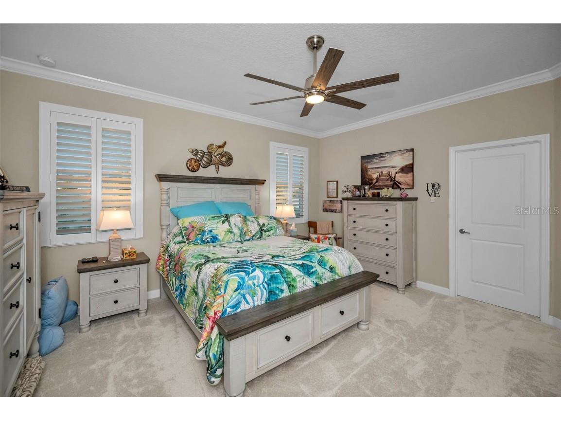 31763 Cabana Rye Avenue San Antonio FL 33576 TB8448703 image26