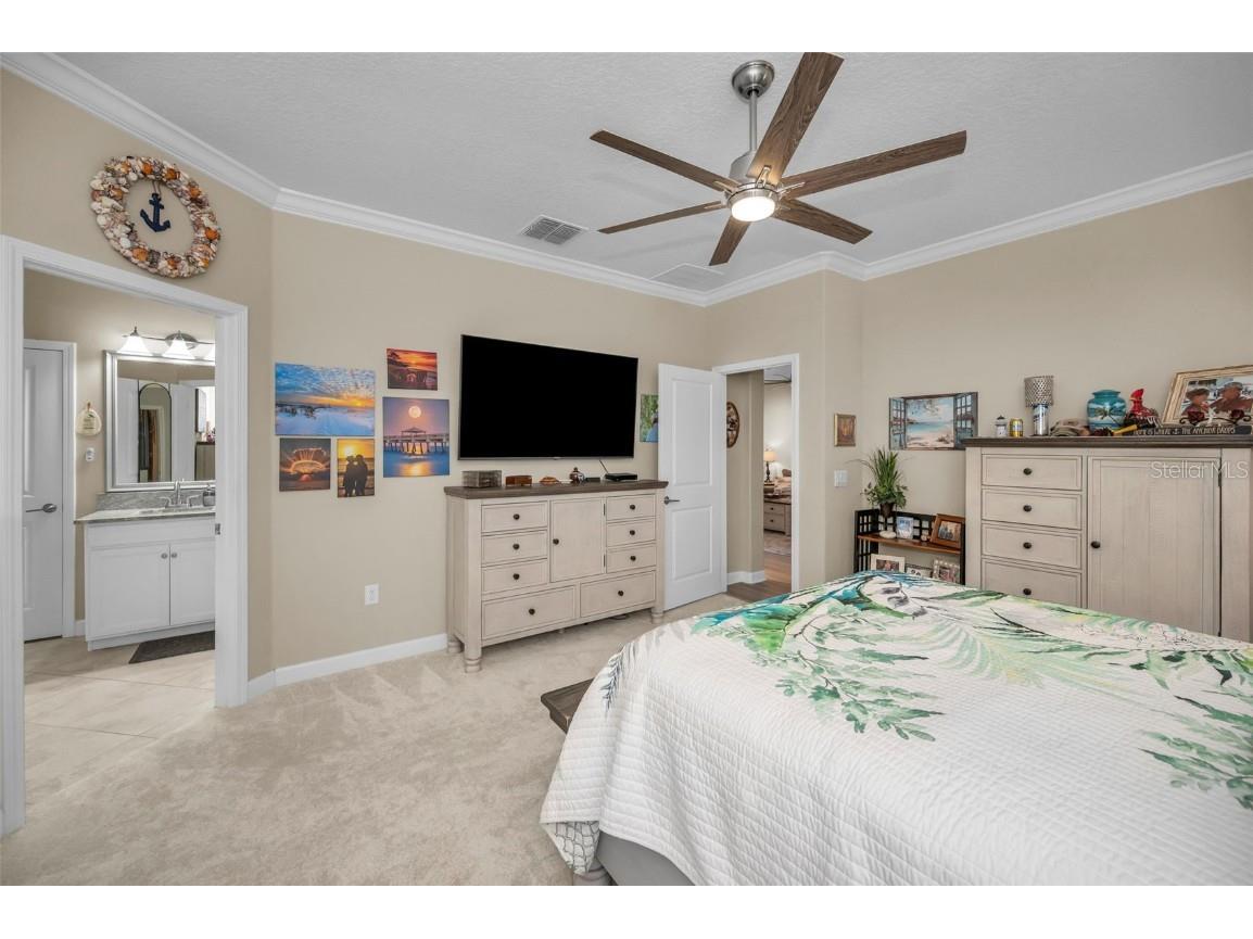 31763 Cabana Rye Avenue San Antonio FL 33576 TB8448703 image28