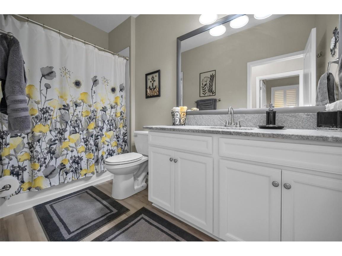 31763 Cabana Rye Avenue San Antonio FL 33576 TB8448703 image33