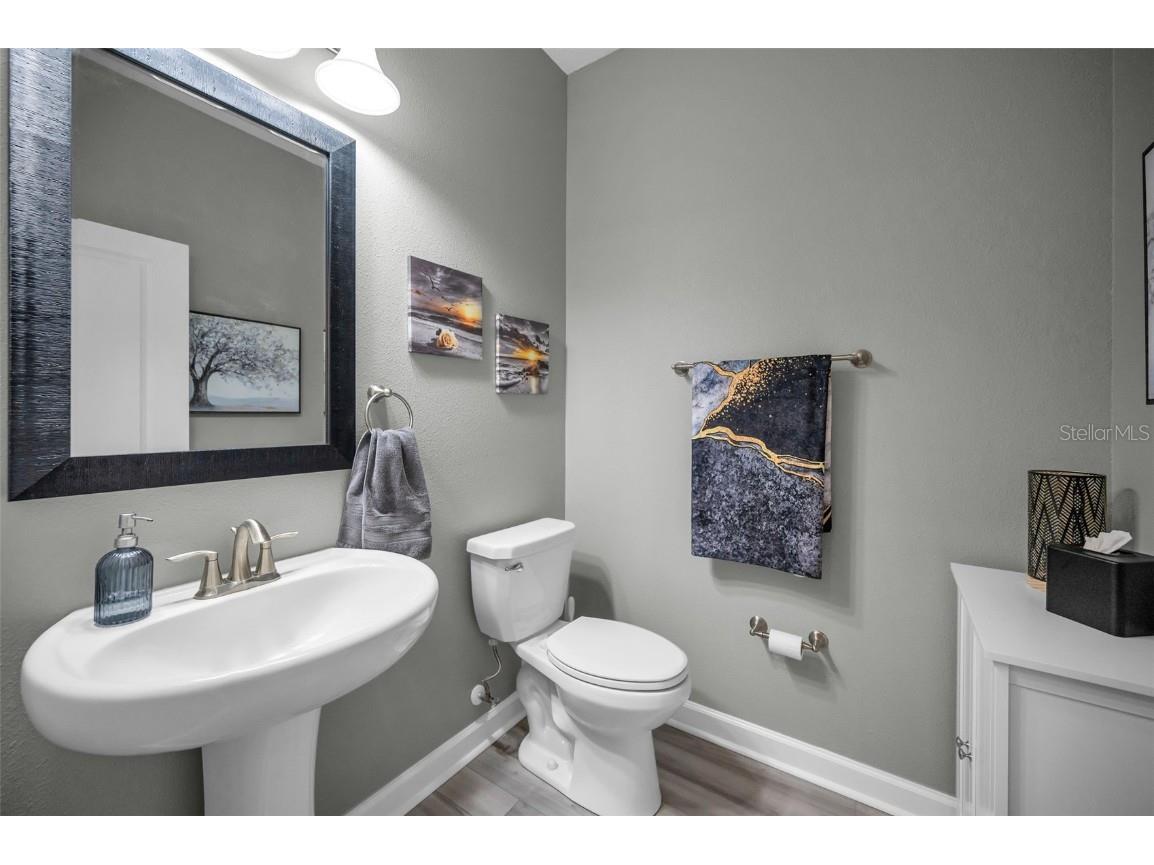 31763 Cabana Rye Avenue San Antonio FL 33576 TB8448703 image38