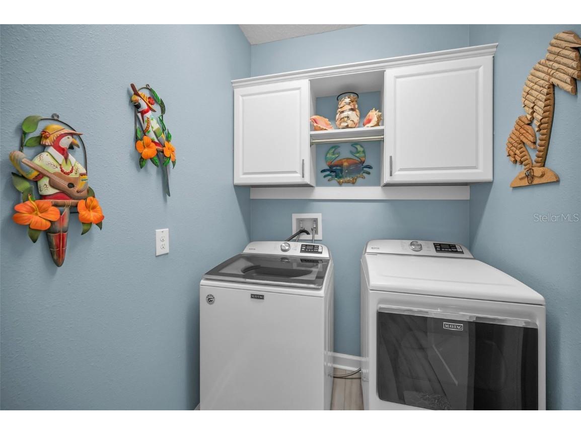 31763 Cabana Rye Avenue San Antonio FL 33576 TB8448703 image39