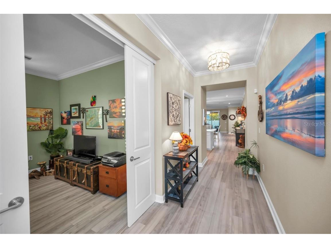 31763 Cabana Rye Avenue San Antonio FL 33576 TB8448703 image4