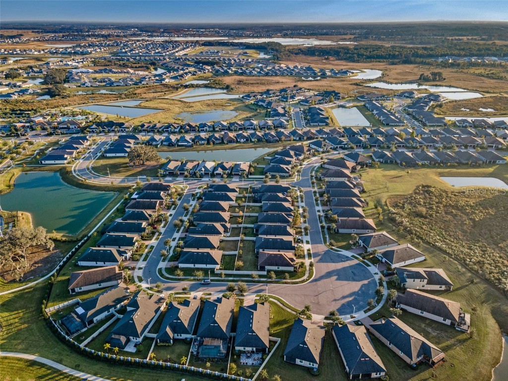 31763 Cabana Rye Avenue San Antonio FL 33576 TB8448703 image53