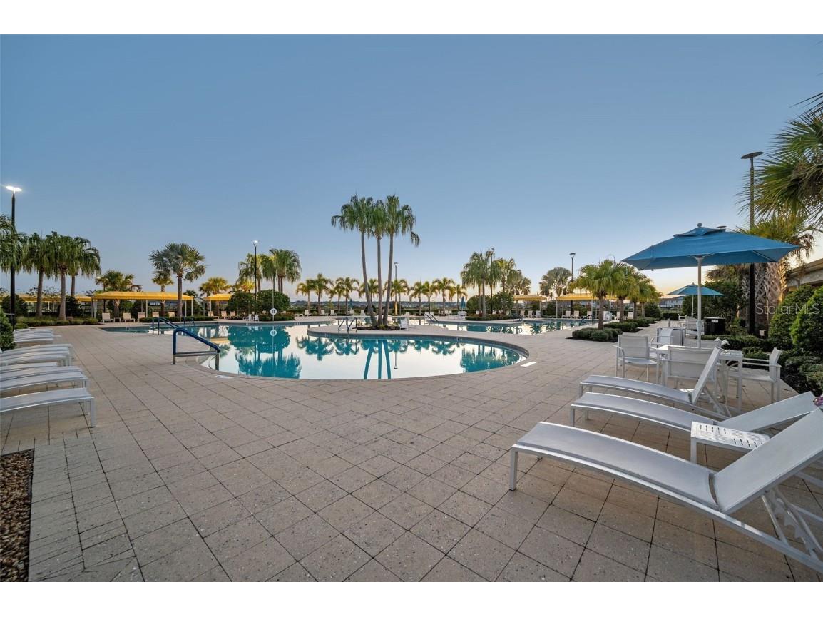 31763 Cabana Rye Avenue San Antonio FL 33576 TB8448703 image67