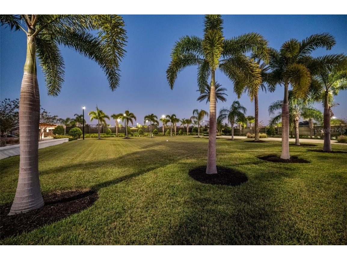 31763 Cabana Rye Avenue San Antonio FL 33576 TB8448703 image73