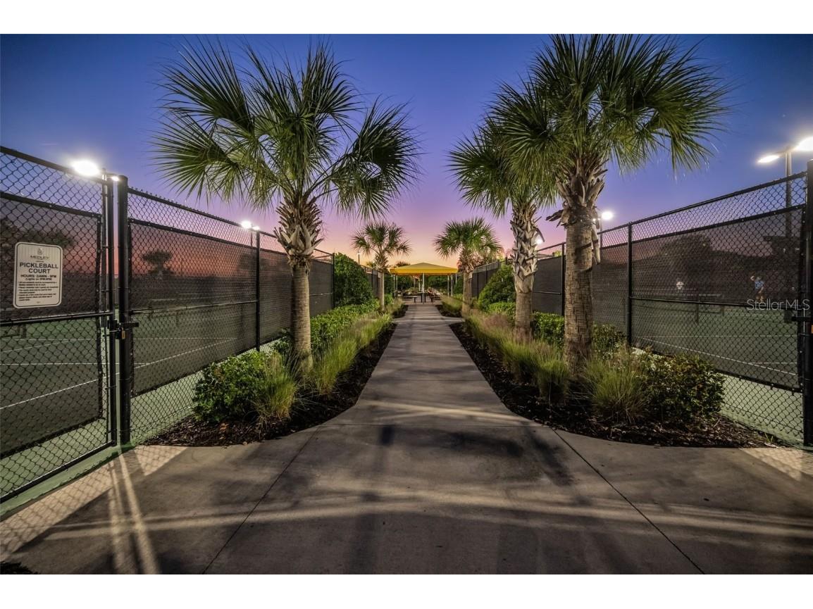 31763 Cabana Rye Avenue San Antonio FL 33576 TB8448703 image74