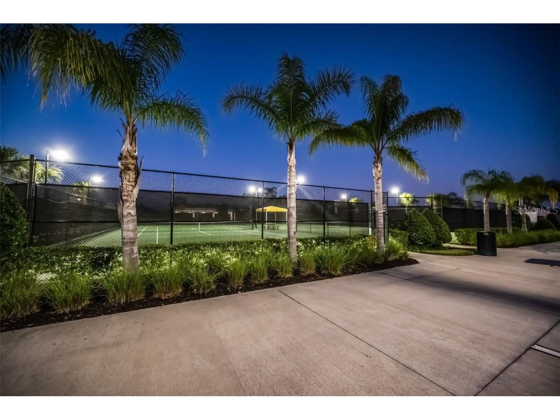 31763 Cabana Rye Avenue San Antonio FL 33576 TB8448703 image76