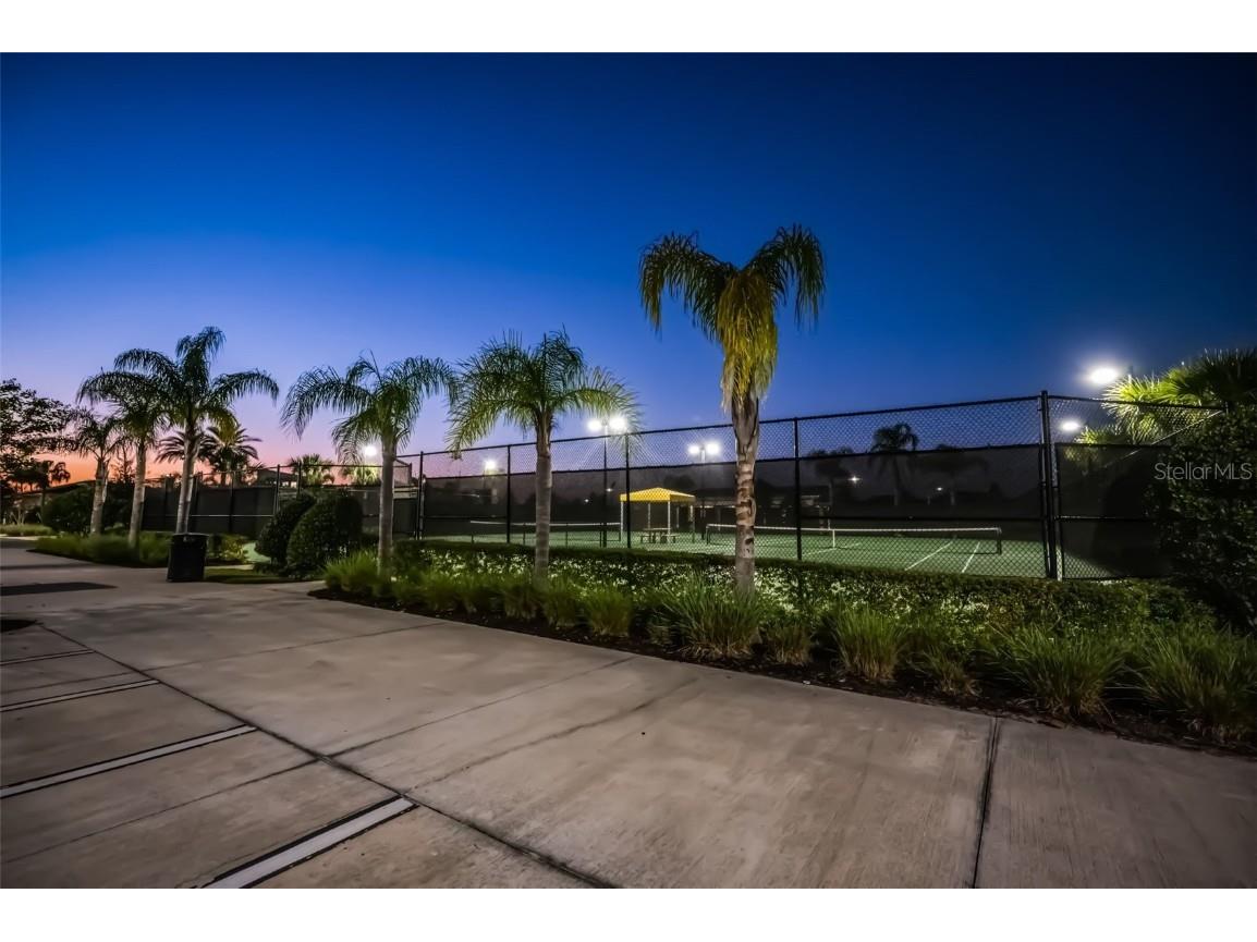 31763 Cabana Rye Avenue San Antonio FL 33576 TB8448703 image77