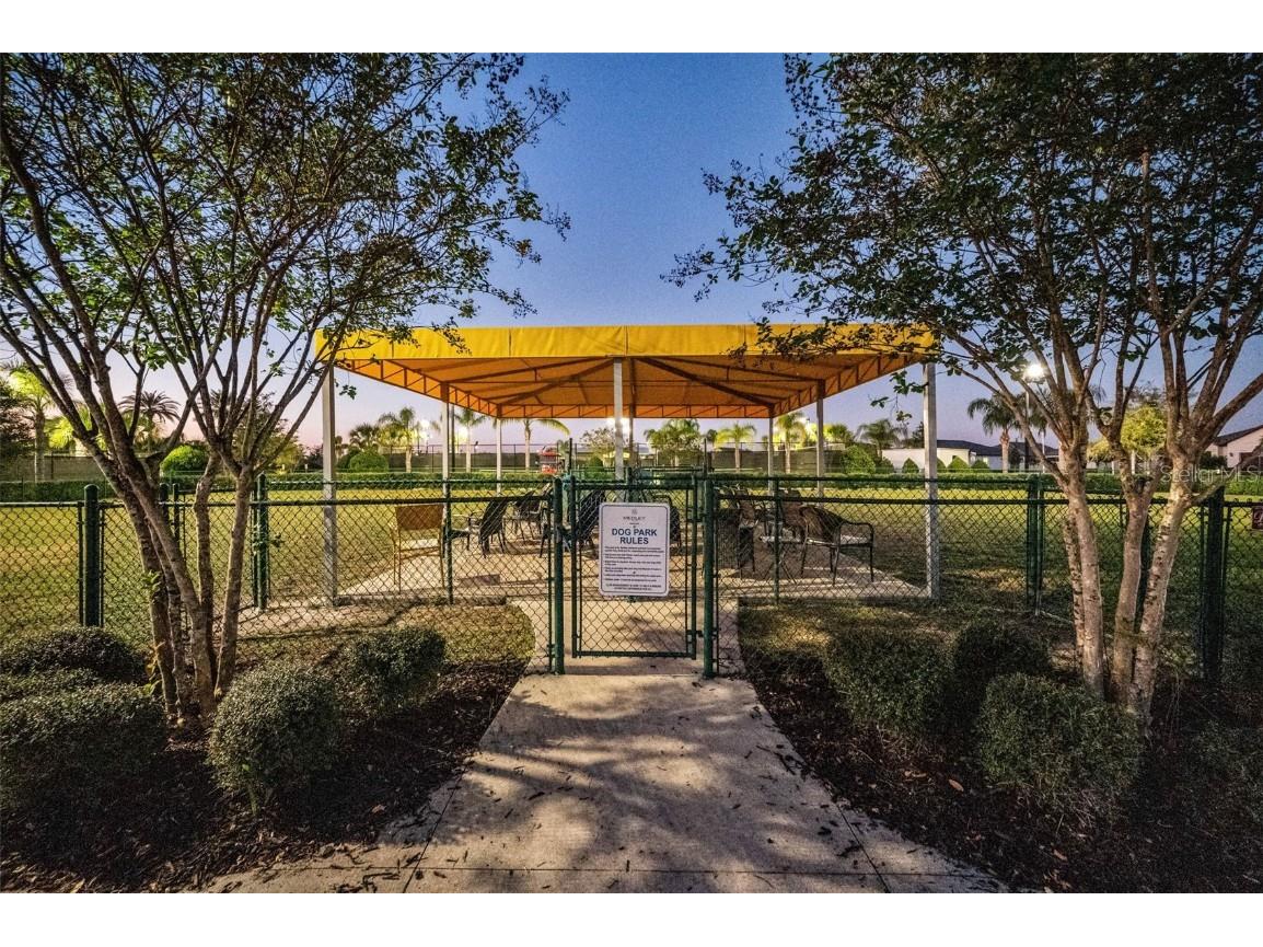 31763 Cabana Rye Avenue San Antonio FL 33576 TB8448703 image78