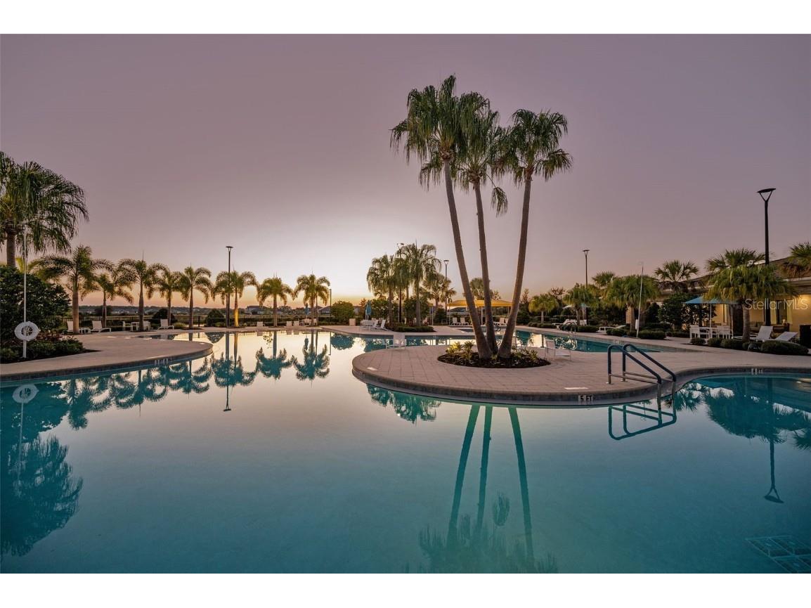 31763 Cabana Rye Avenue San Antonio FL 33576 TB8448703 image80