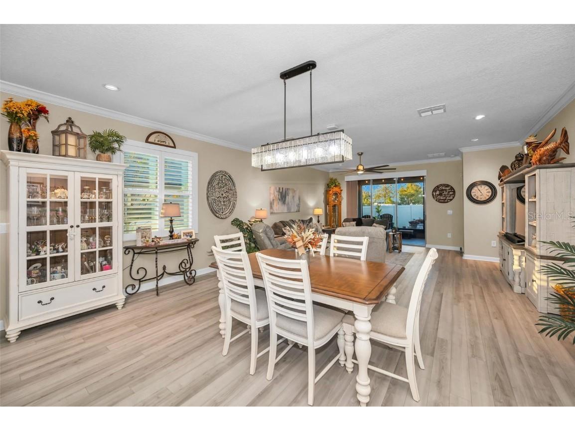 31763 Cabana Rye Avenue San Antonio FL 33576 TB8448703 image9