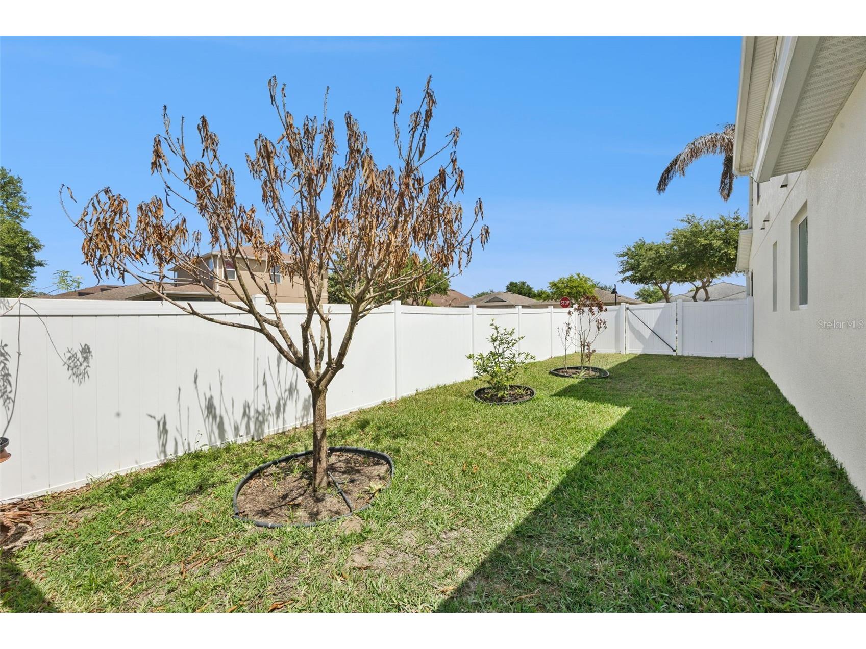 3177 Bayou Lane Tavares FL 32778 O6395268 image38