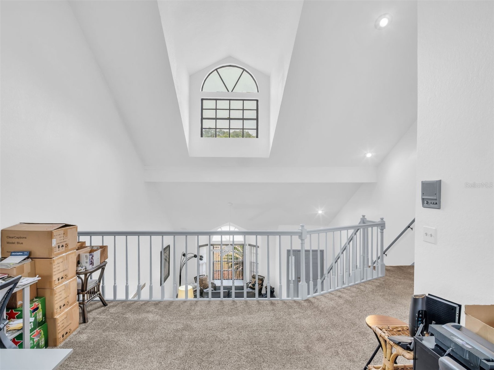 3177 Montrose Place Palm Harbor FL 34684 TB8446923 image21