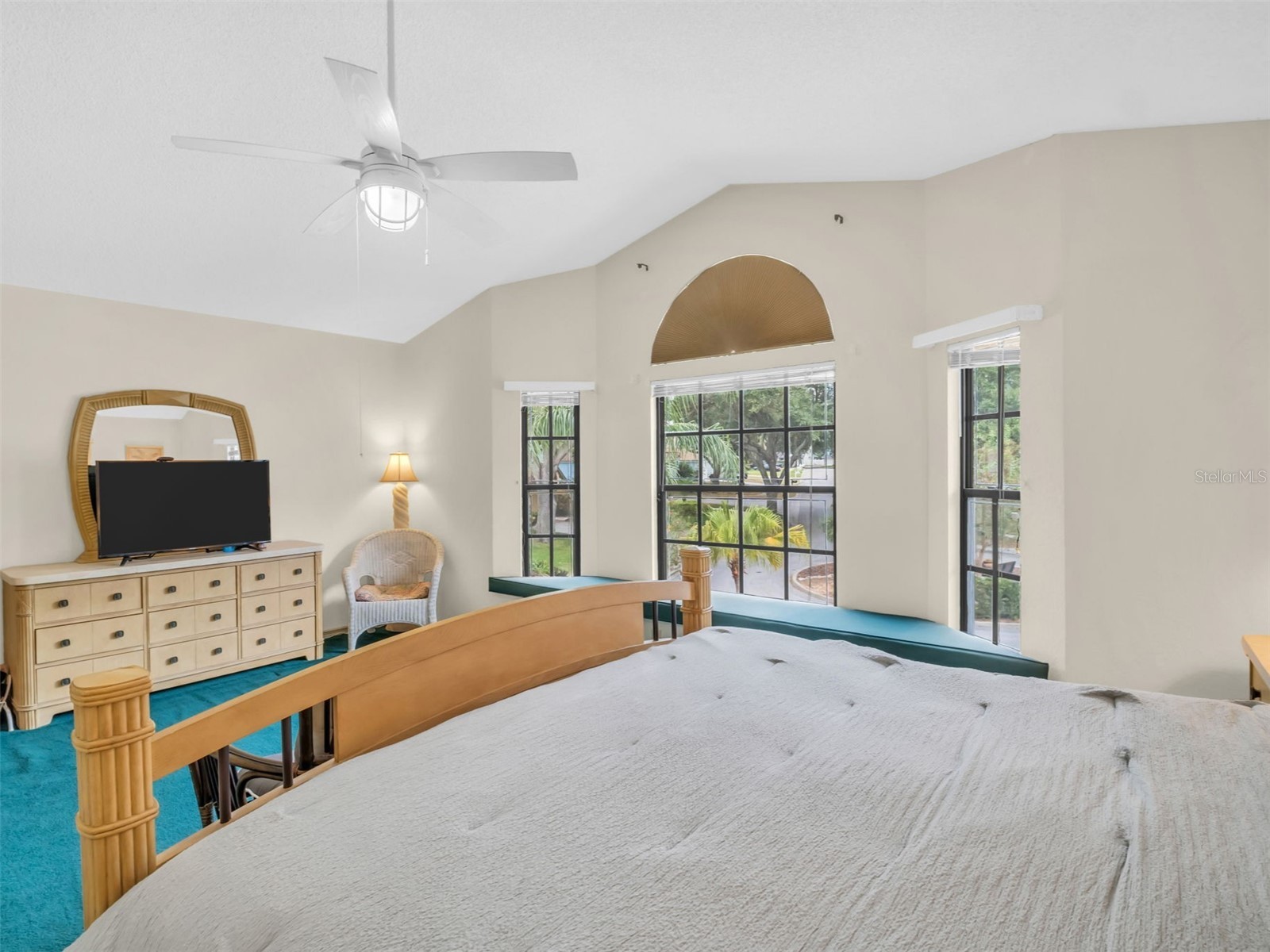 3177 Montrose Place Palm Harbor FL 34684 TB8446923 image23