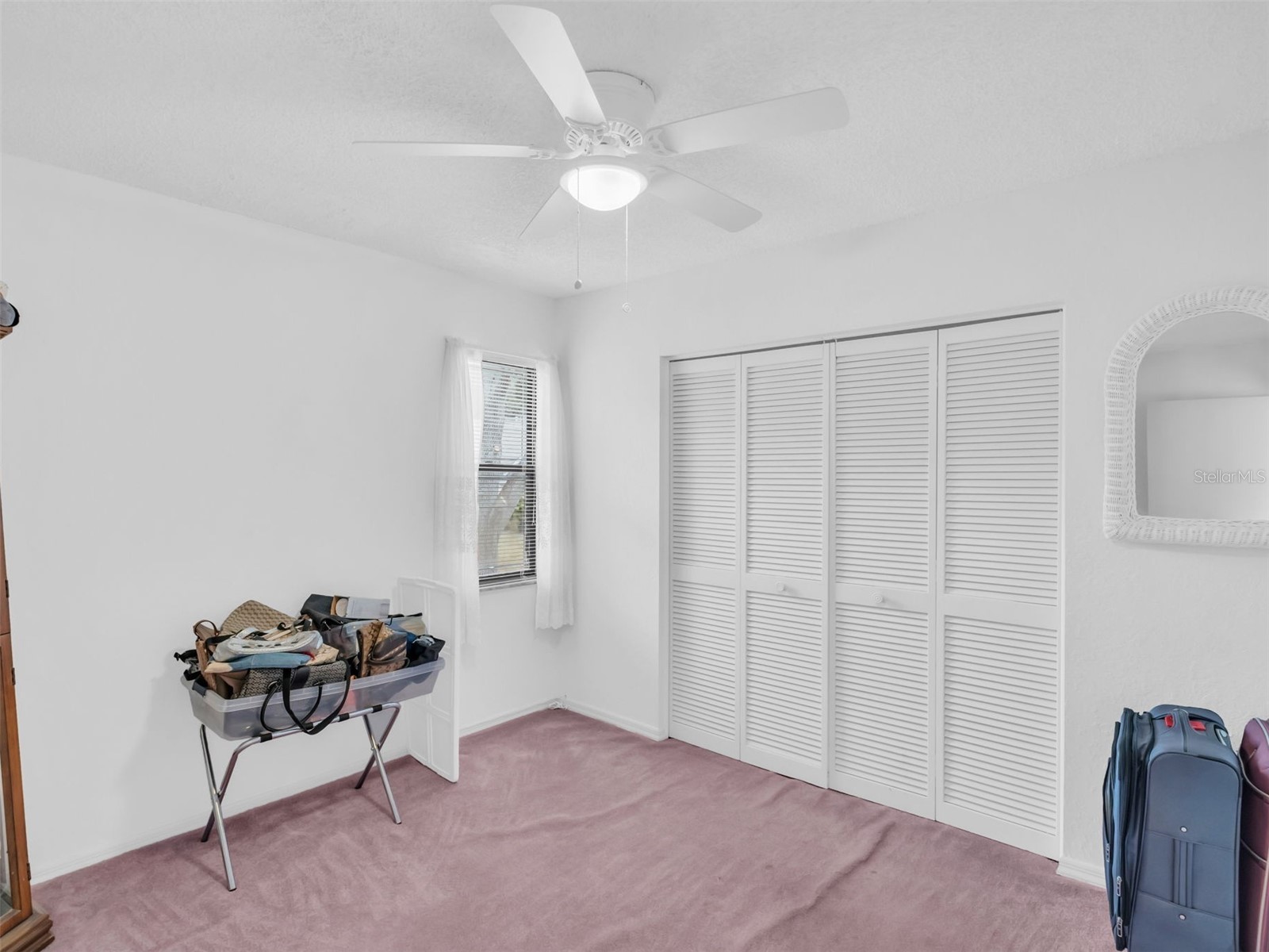 3177 Montrose Place Palm Harbor FL 34684 TB8446923 image31