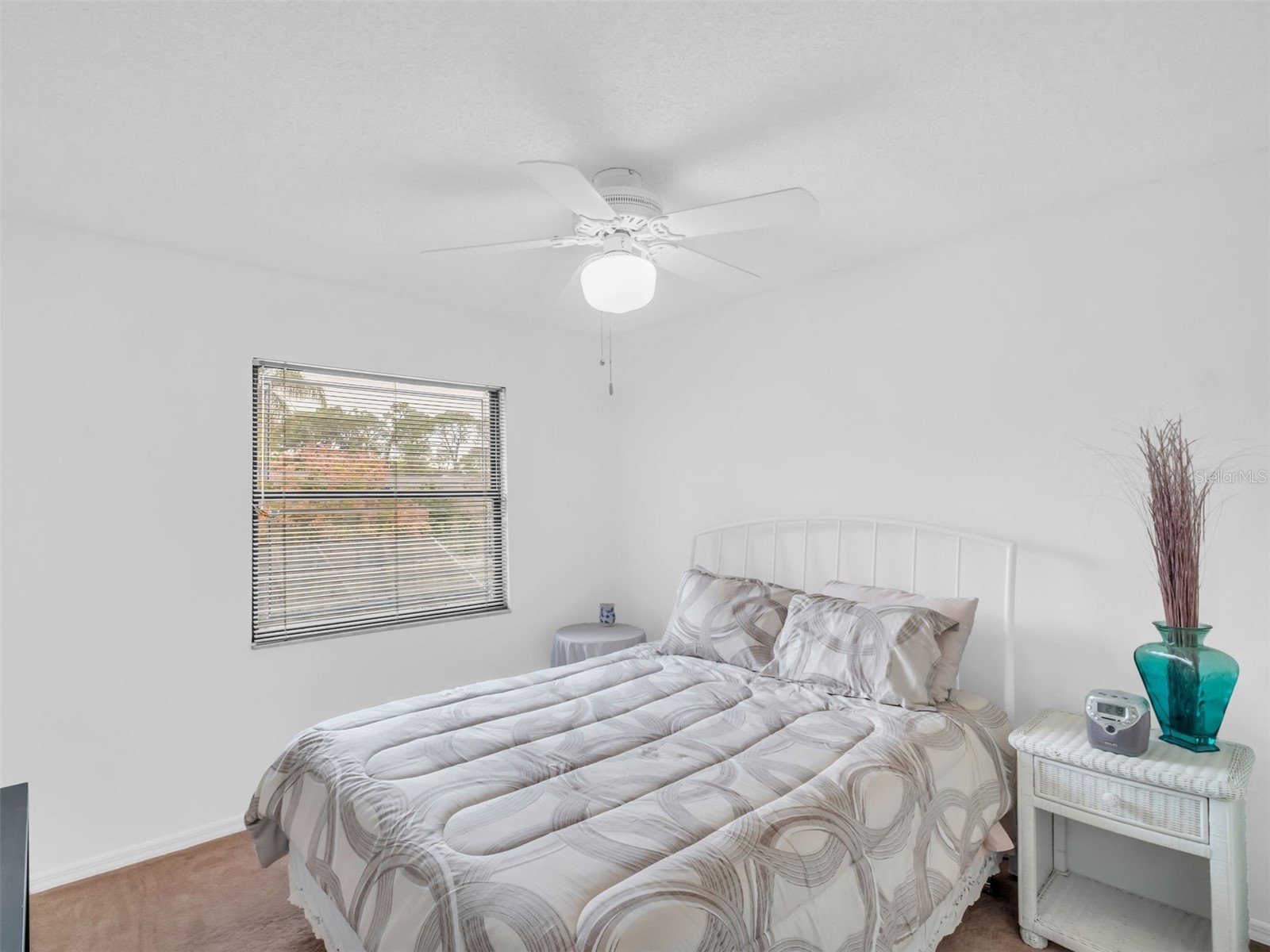 3177 Montrose Place Palm Harbor FL 34684 TB8446923 image32