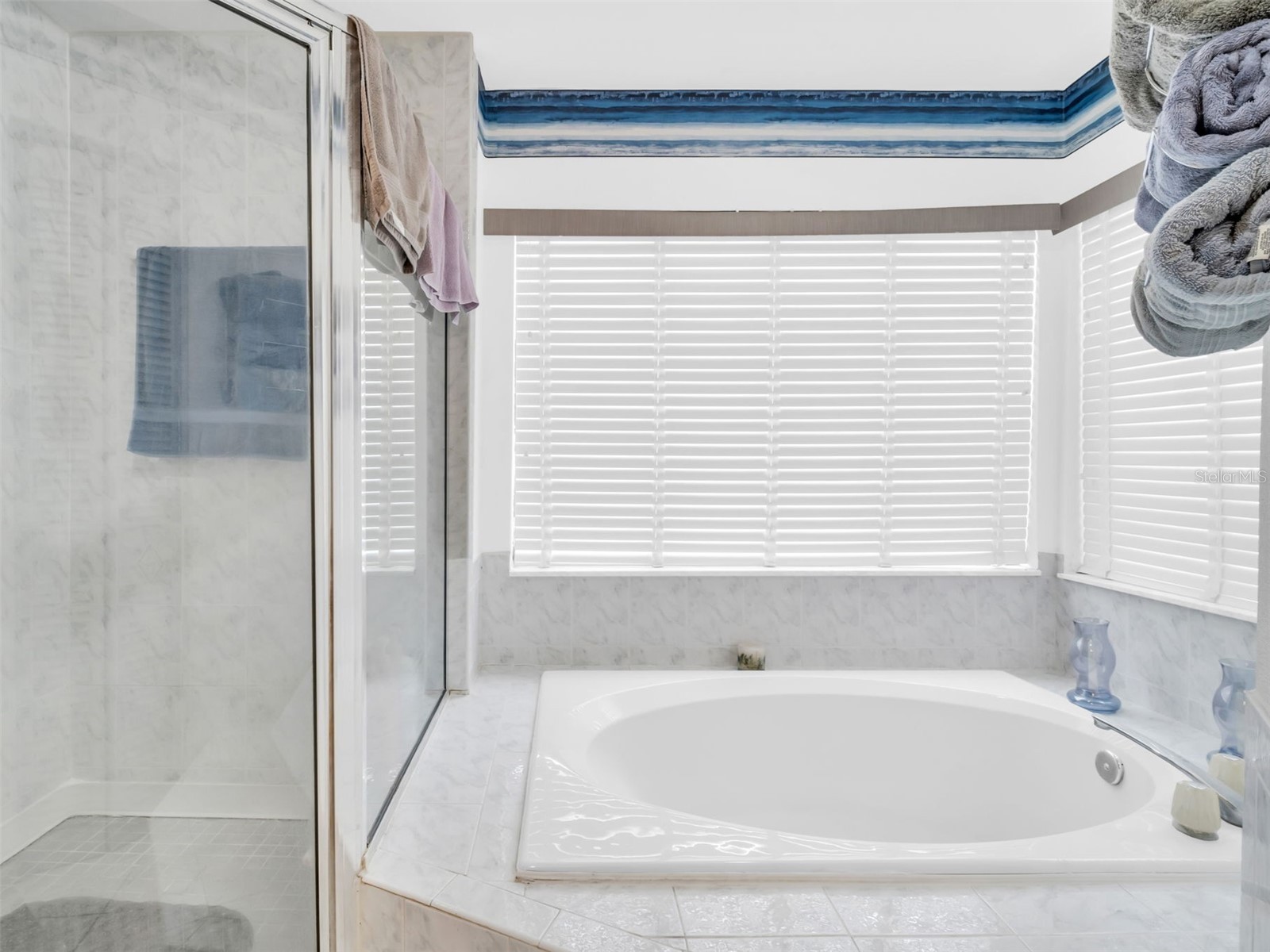 3177 Montrose Place Palm Harbor FL 34684 TB8446923 image35