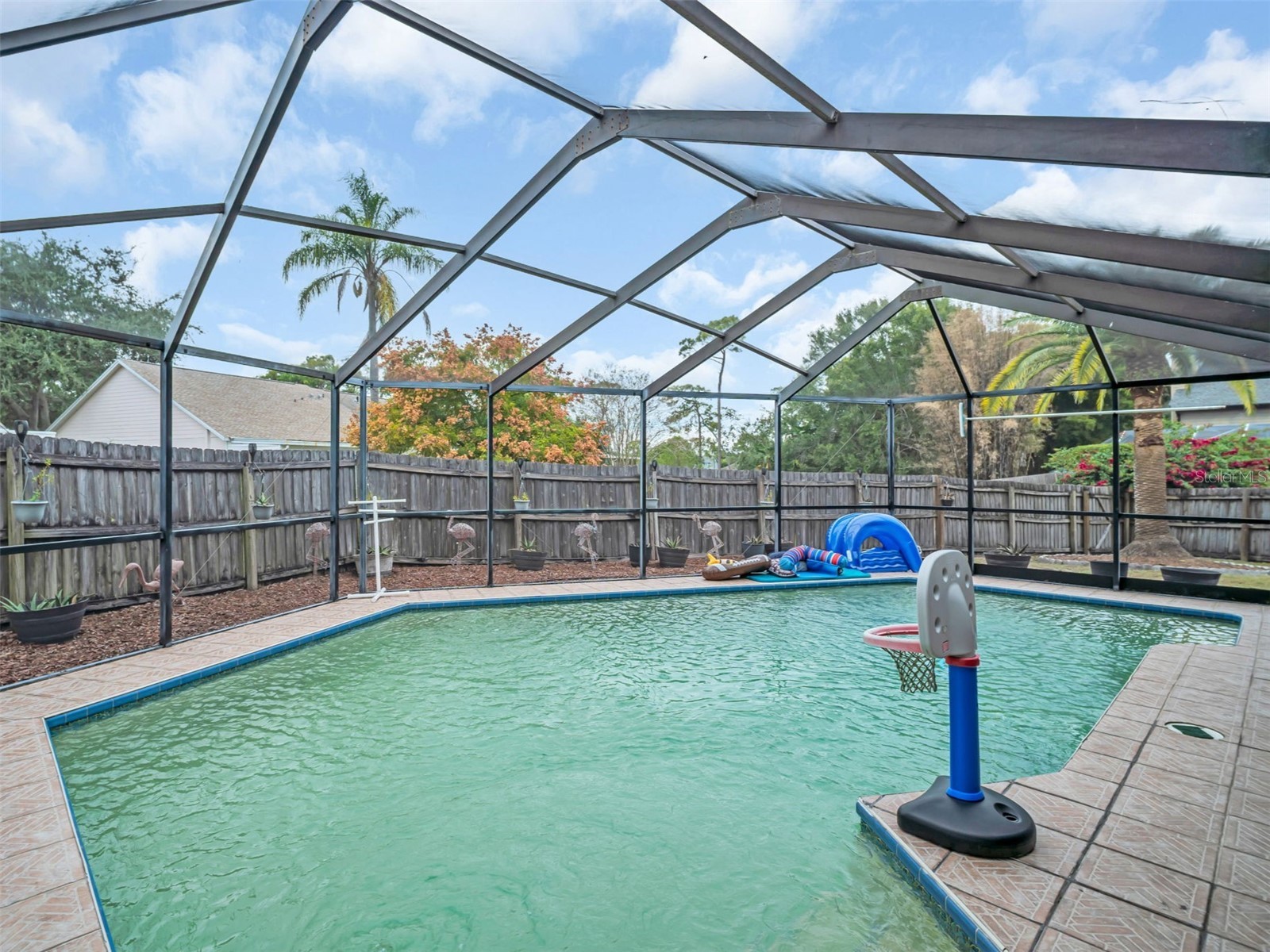3177 Montrose Place Palm Harbor FL 34684 TB8446923 image37