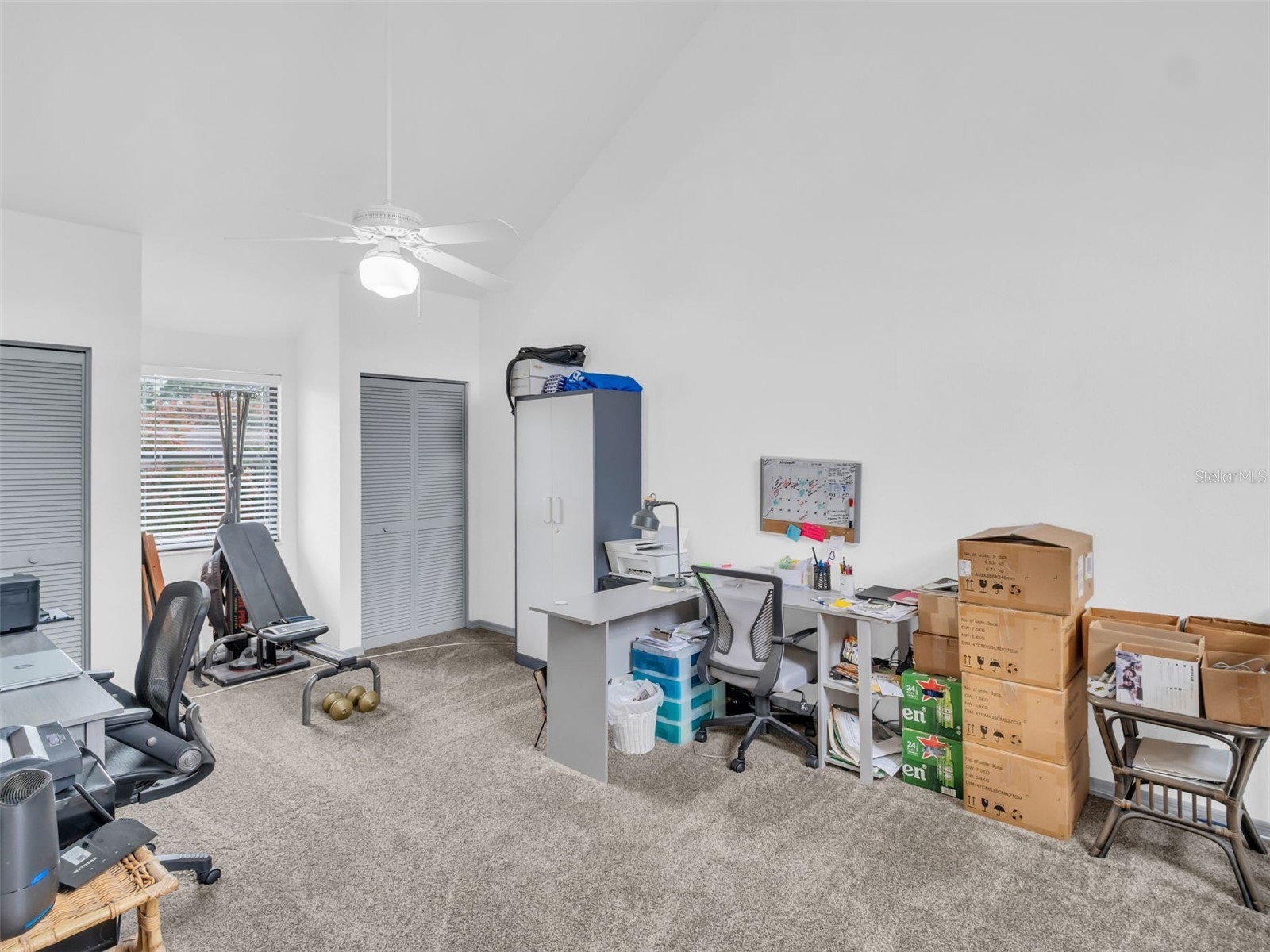 3177 Montrose Place Palm Harbor FL 34684 TB8446923 image38