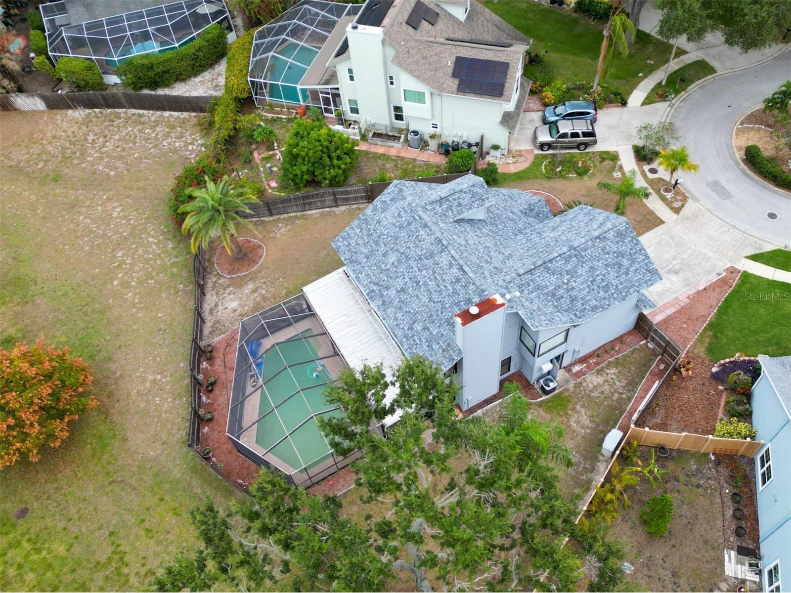 3177 Montrose Place Palm Harbor FL 34684 TB8446923 image49