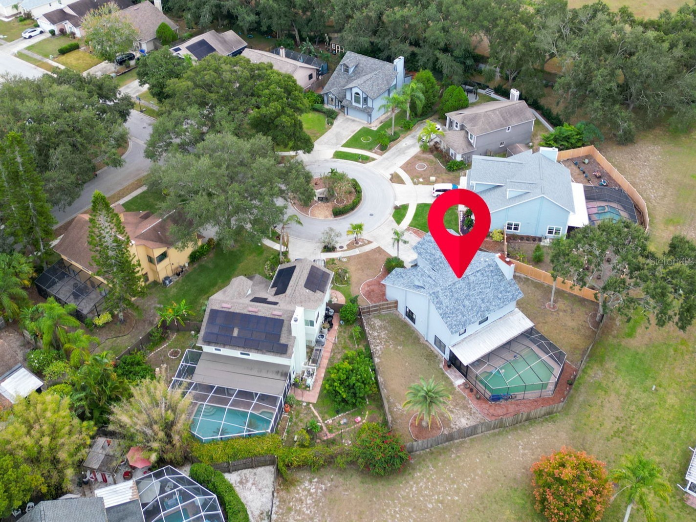 3177 Montrose Place Palm Harbor FL 34684 TB8446923 image50