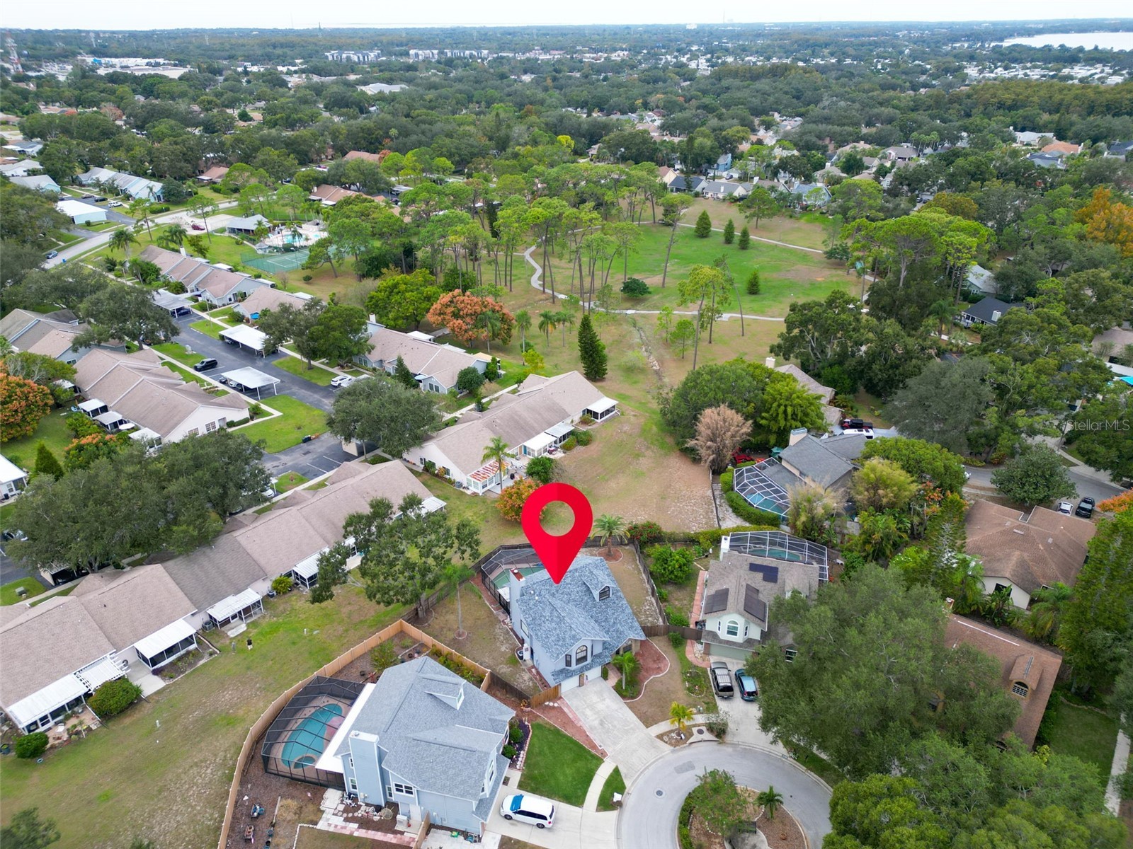 3177 Montrose Place Palm Harbor FL 34684 TB8446923 image51