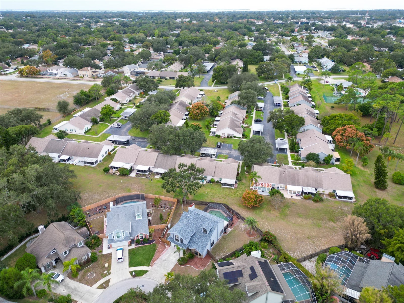 3177 Montrose Place Palm Harbor FL 34684 TB8446923 image52