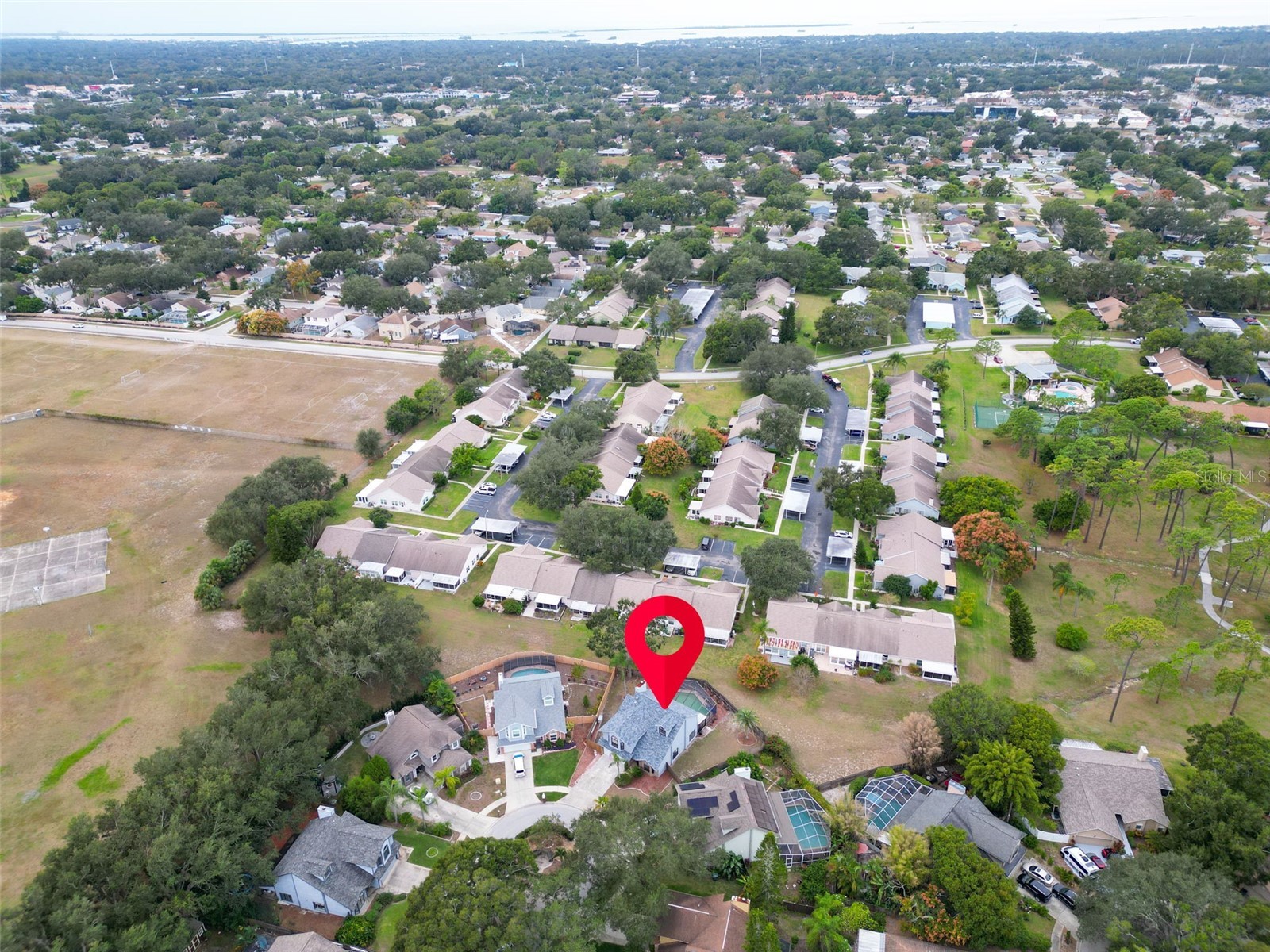 3177 Montrose Place Palm Harbor FL 34684 TB8446923 image53