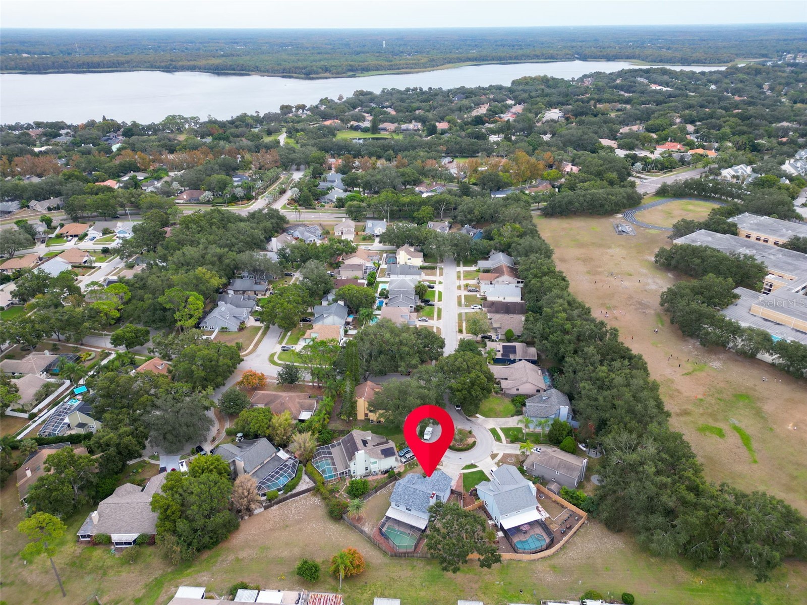 3177 Montrose Place Palm Harbor FL 34684 TB8446923 image54