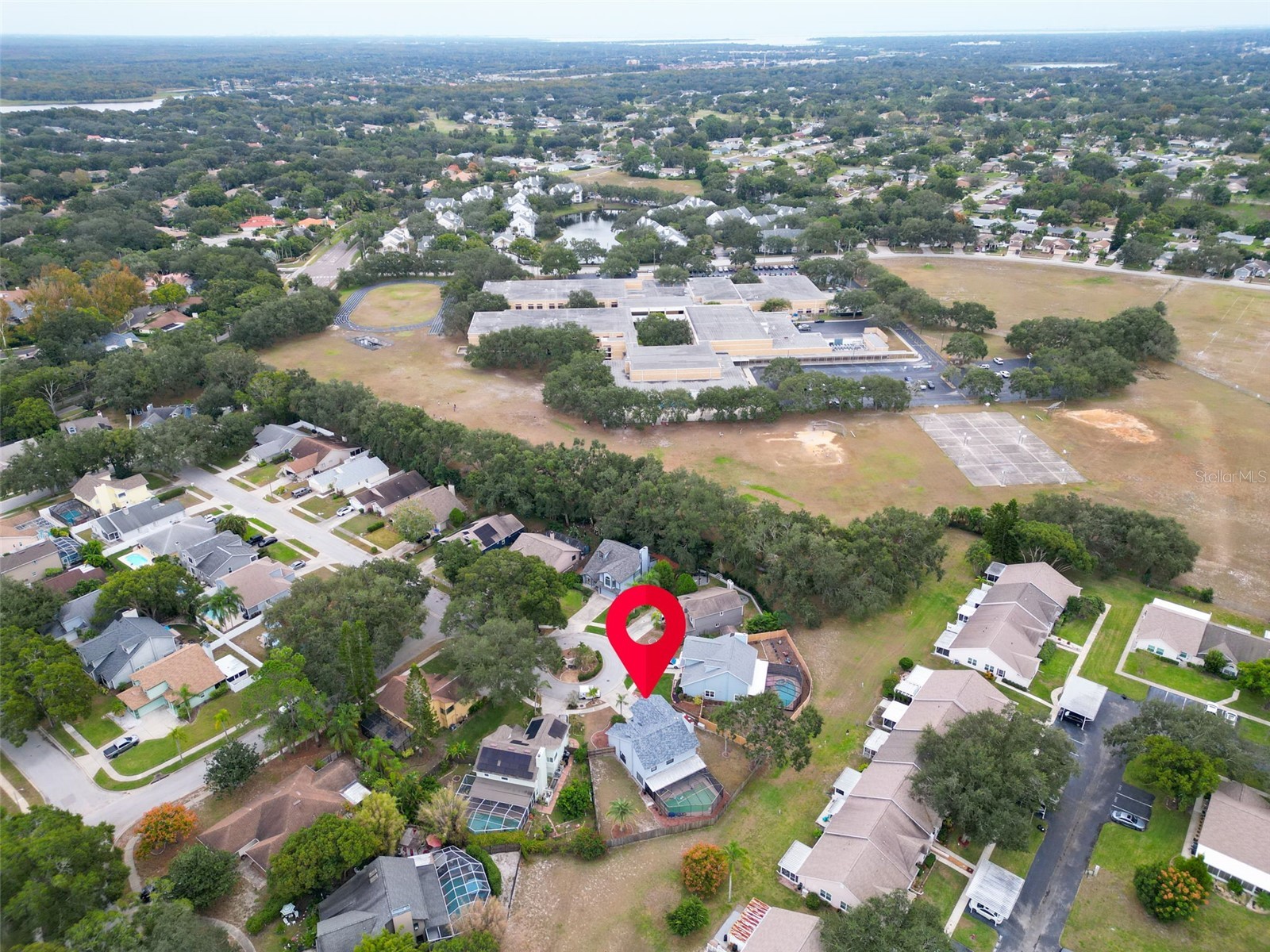 3177 Montrose Place Palm Harbor FL 34684 TB8446923 image57