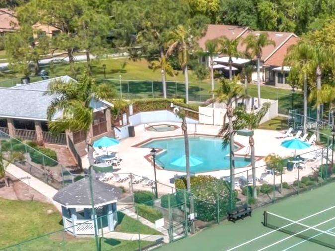 3177 Montrose Place Palm Harbor FL 34684 TB8446923 image58