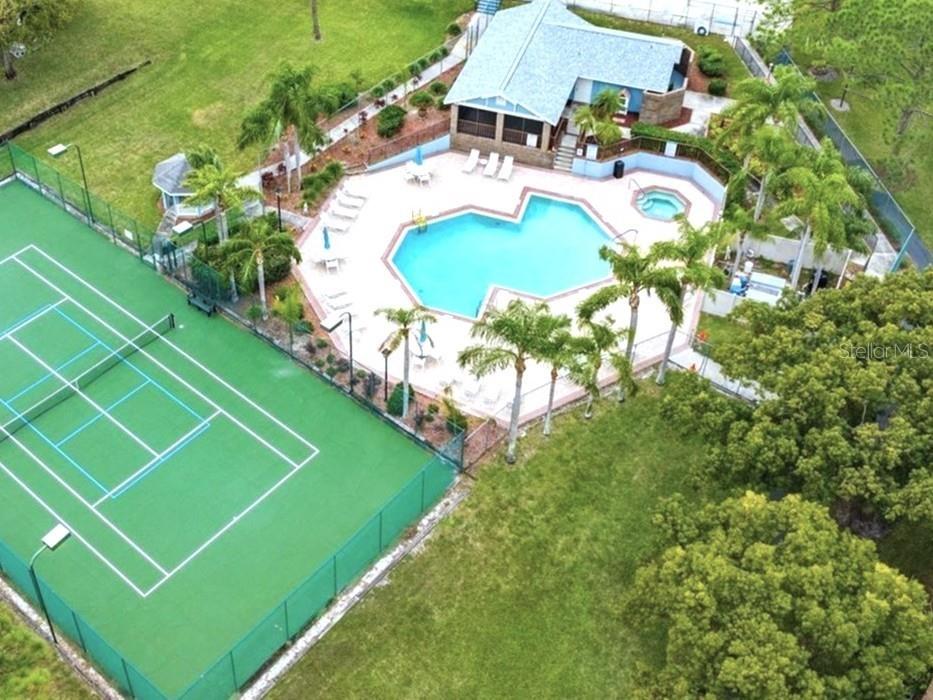 3177 Montrose Place Palm Harbor FL 34684 TB8446923 image59