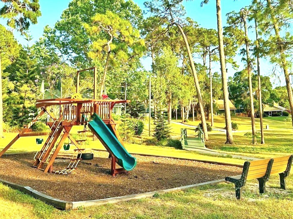 3177 Montrose Place Palm Harbor FL 34684 TB8446923 image60