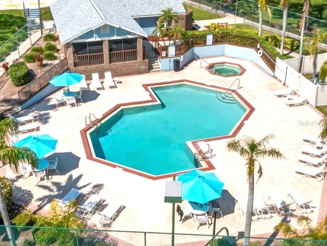 3177 Montrose Place Palm Harbor FL 34684 TB8446923 image61