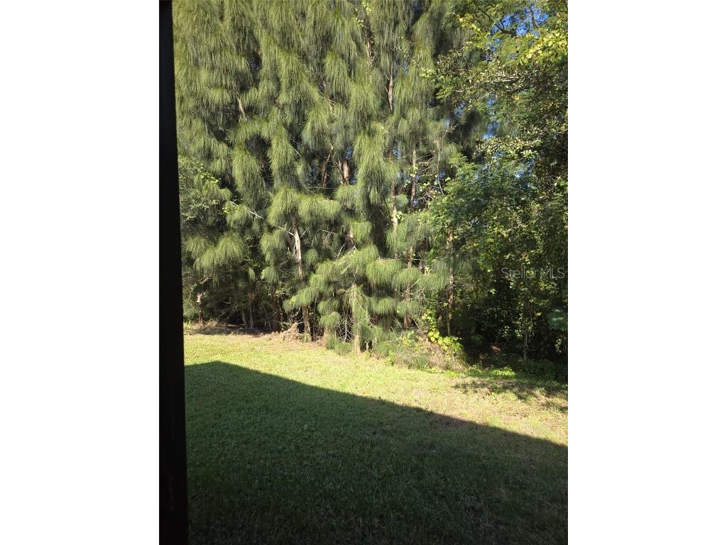 3177 Montserrat Place Kissimmee FL 34743 S5138815 image17