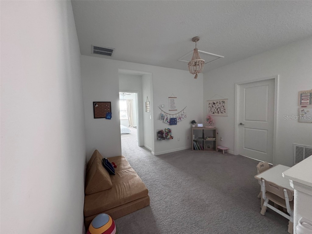 31779 Blue Passing Loop Wesley Chapel FL 33545 TB8457342 image12