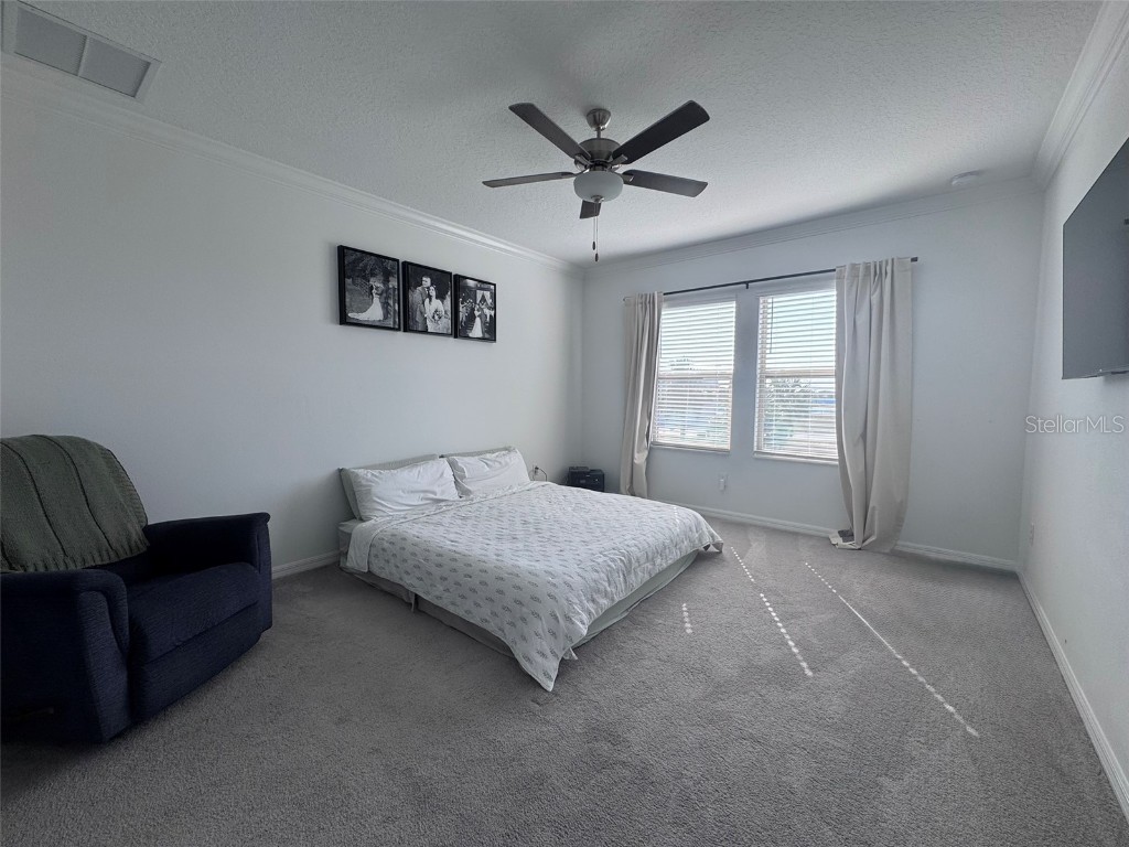 31779 Blue Passing Loop Wesley Chapel FL 33545 TB8457342 image14