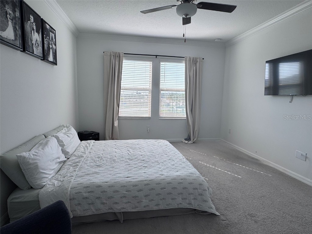 31779 Blue Passing Loop Wesley Chapel FL 33545 TB8457342 image16