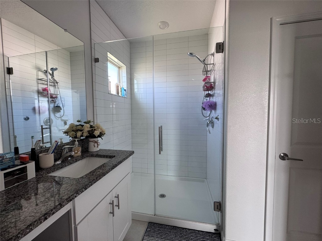 31779 Blue Passing Loop Wesley Chapel FL 33545 TB8457342 image18