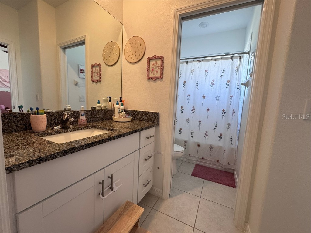 31779 Blue Passing Loop Wesley Chapel FL 33545 TB8457342 image20