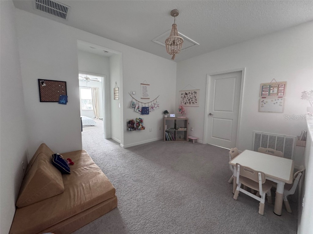 31779 Blue Passing Loop Wesley Chapel FL 33545 TB8457342 image31