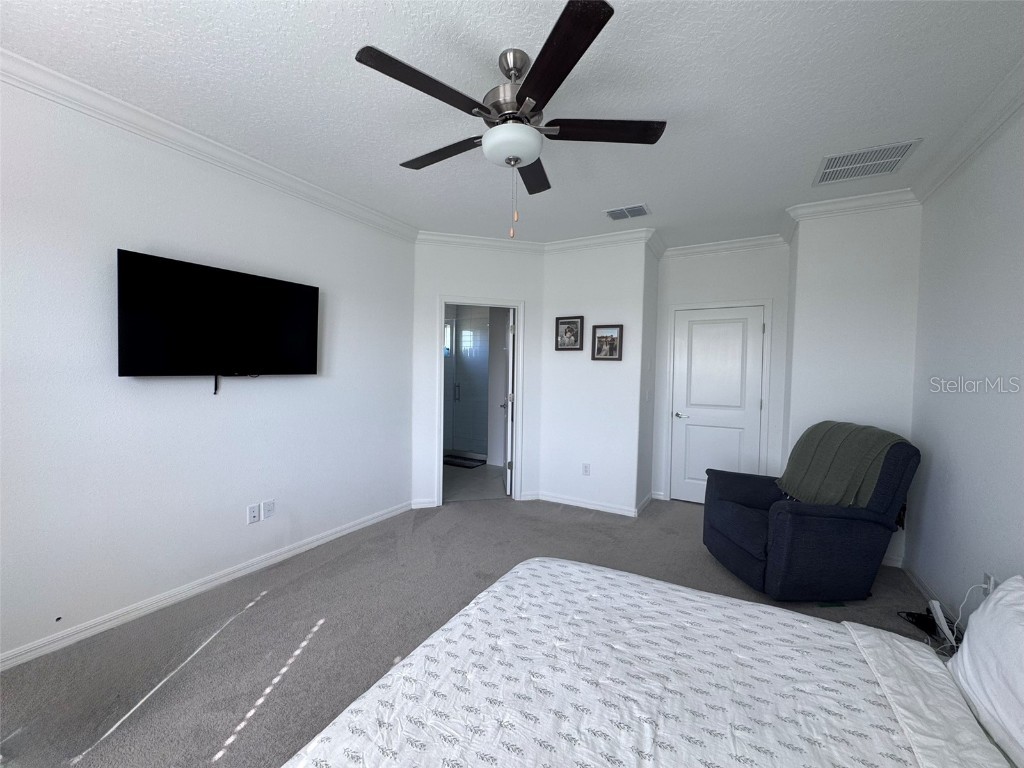 31779 Blue Passing Loop Wesley Chapel FL 33545 TB8457342 image35